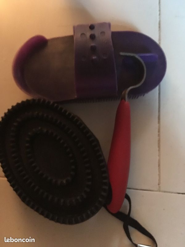 Brosse de passage équitation (image 3)