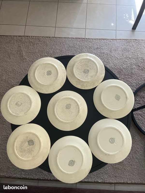 Lot de 8 assiettes plates terre de fer (image 2)