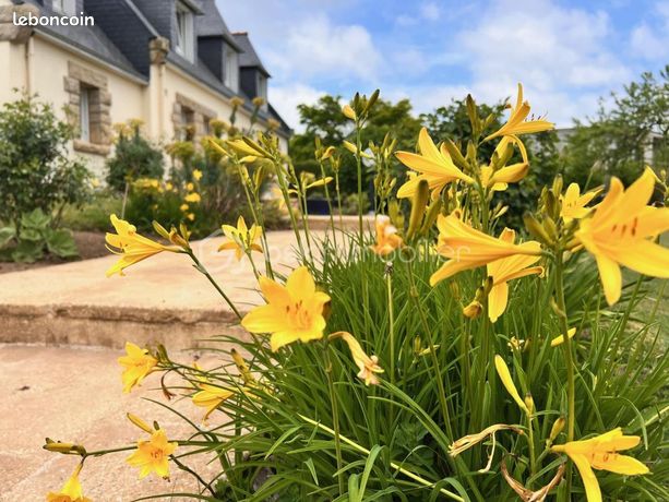 Propriété 6 pièces 143 m²