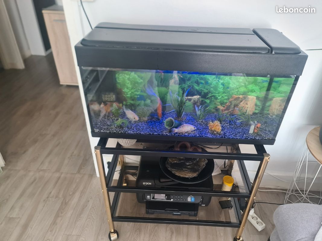 Aquarium (image 1)
