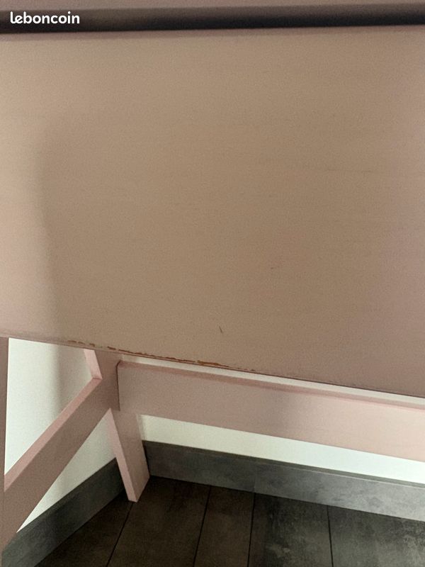 Bureau rose (image 6)