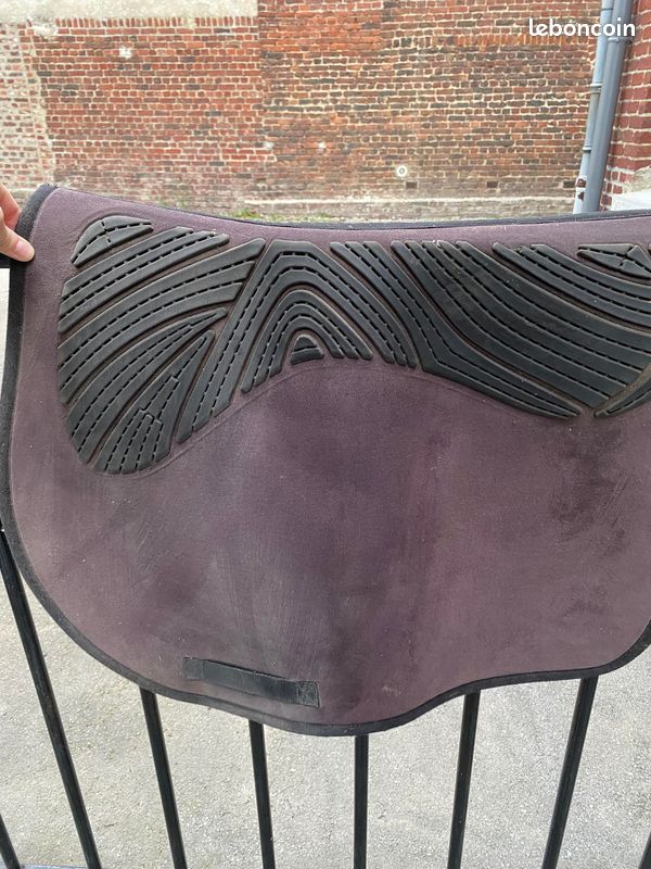 Tapis cheval (image 1)