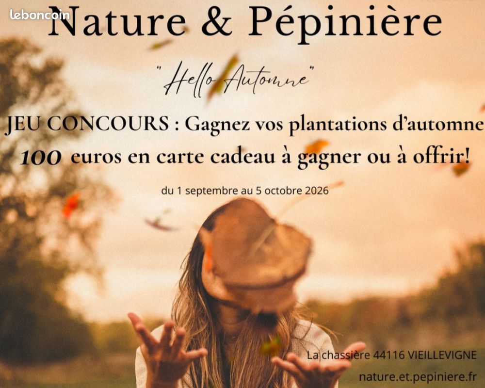 Nombreuses plantes vivaces graminées exotique arbustes (image 5)