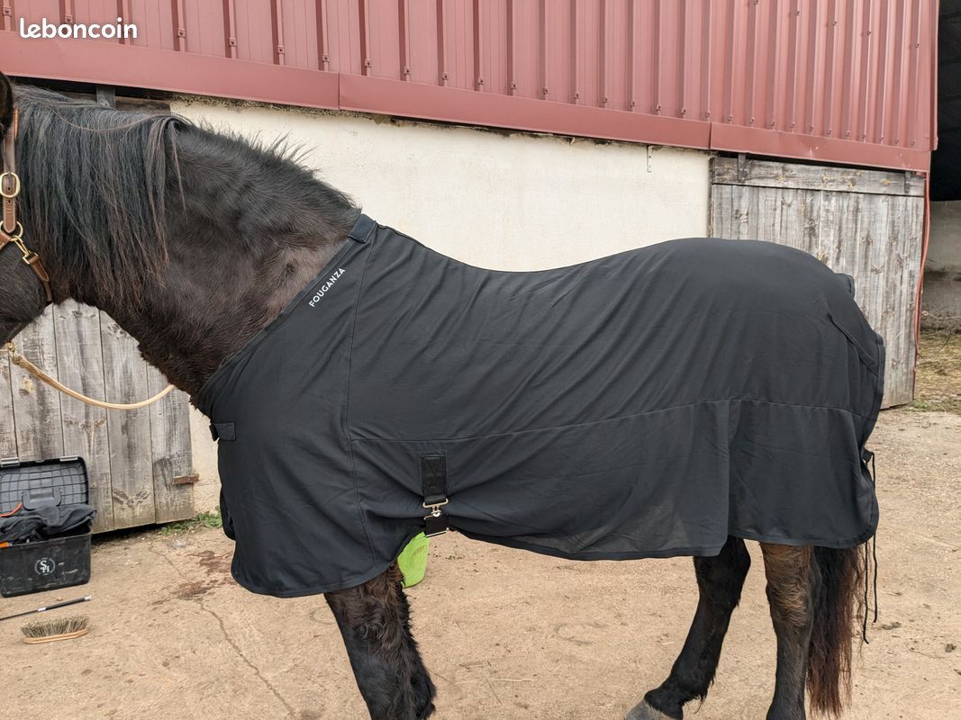 Chemise Séchante Chemise Cheval Decathlon Couvre Reins Decathlon