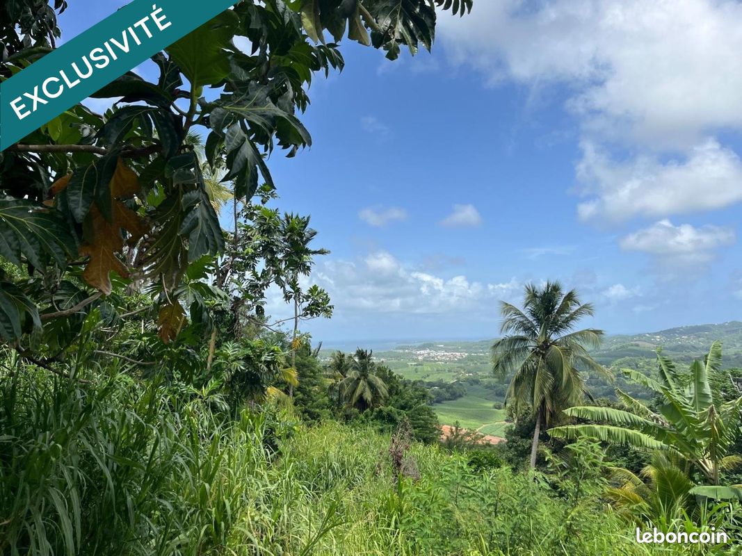 Terrain 553 m² · à Le François · 553 m² · 60 000 €