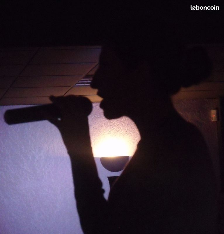Soirée karaoké (image 2)