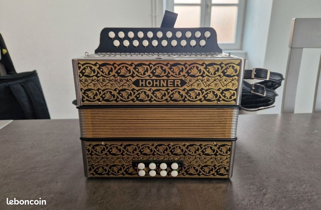 Accordéon diatonique (image 1)