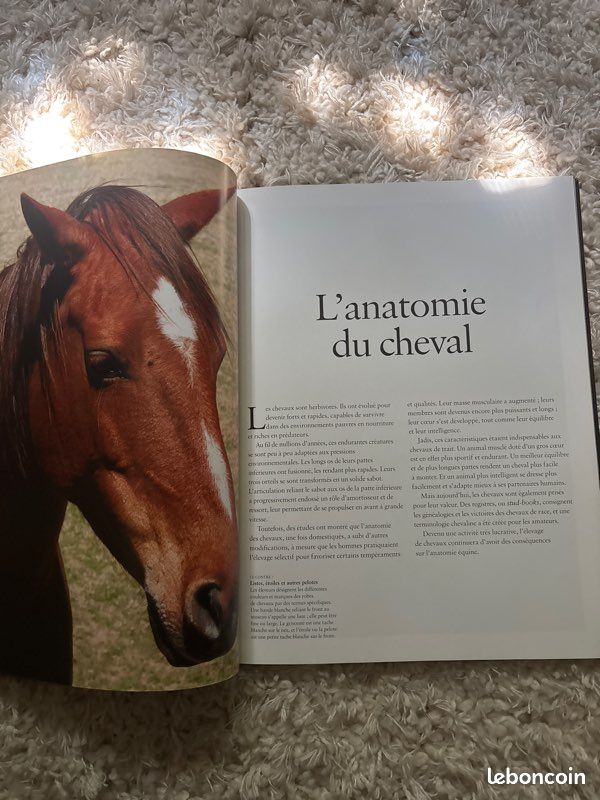Livres «Les chevaux » (image 5)