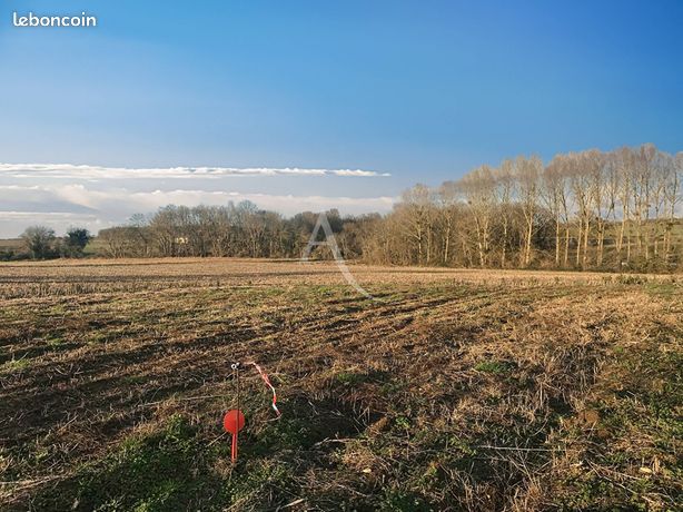 Terrain 989 m² CHAMPAGNE