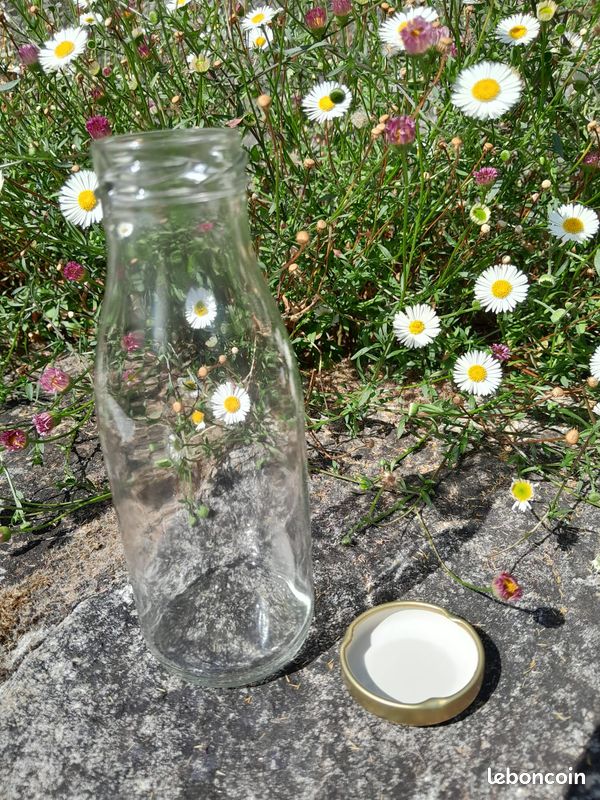 Bouteille en verre 25cl (image 2)