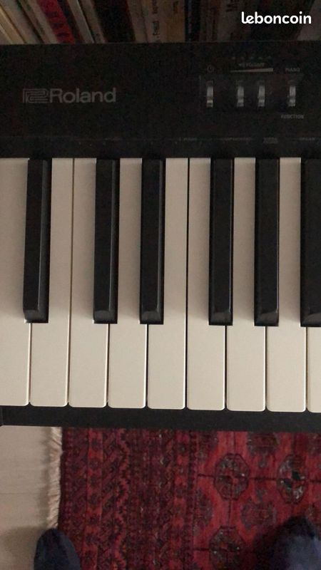 Piano Numerique Portable Roland FP-10 (image 4)