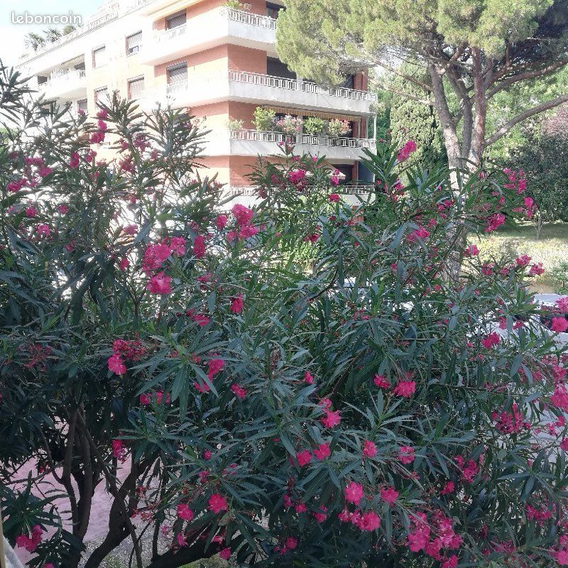 Appartement 2 pièces 42 m² · à Toulouse · 42 m² · 690 €/mois