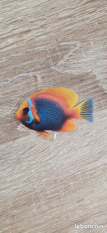 Sticker Pêche Fishing Poisson 2 - ref.d20151 | MPA Déco
