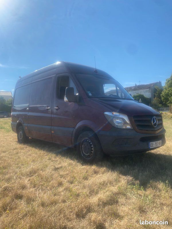 Sprinter (image 2)