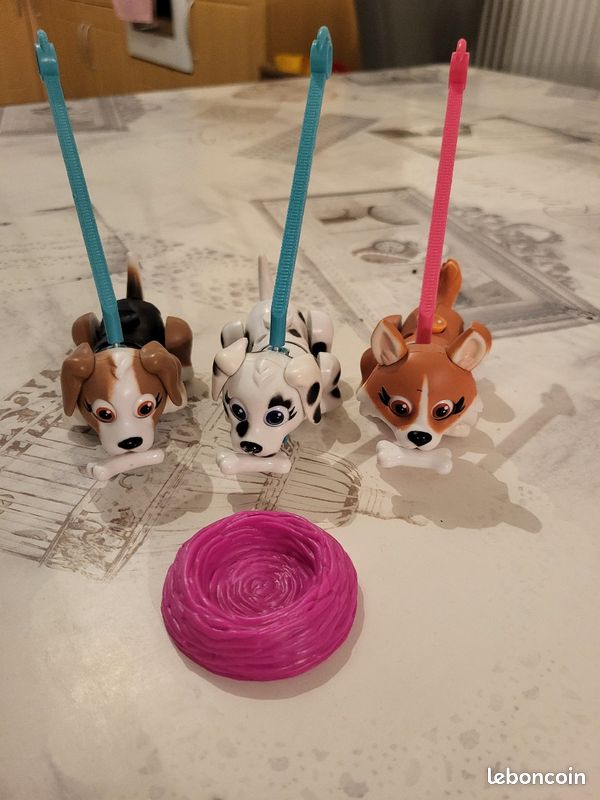 Chien pet parade (image 1)