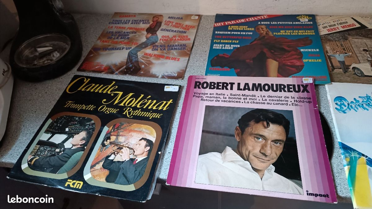 Vends vinyles 33 et 45 tours doit partir rapidement (image 10)