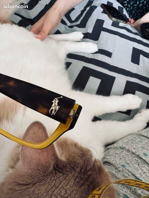Lunettes de vue léopard Ralph Laurent (image 7)