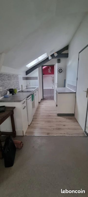 Appartement 1 pièce 26 m² - Limoges 87000 (image principale 4)