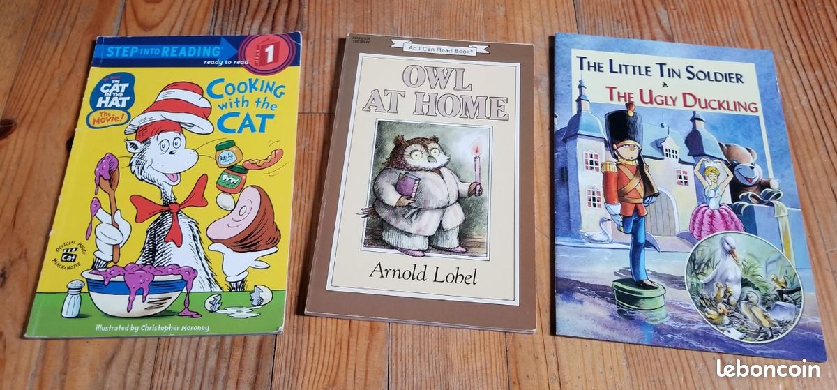 Lot 3 livres en anglais (image 1)