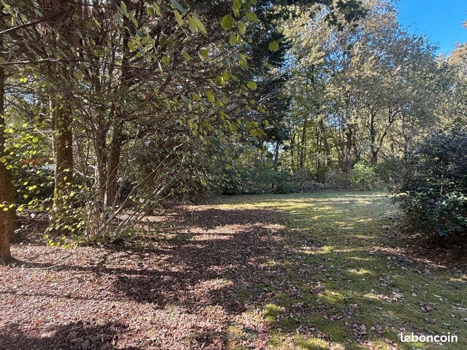 Terrain 380 m² · à Belin-Béliet · 115 000 €