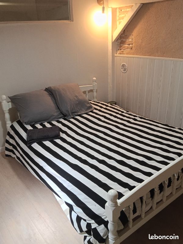 Appartement style Loft climatisé, 4 à 6 p. Tarn,Albi,Gaillac,Cordes (image 8)