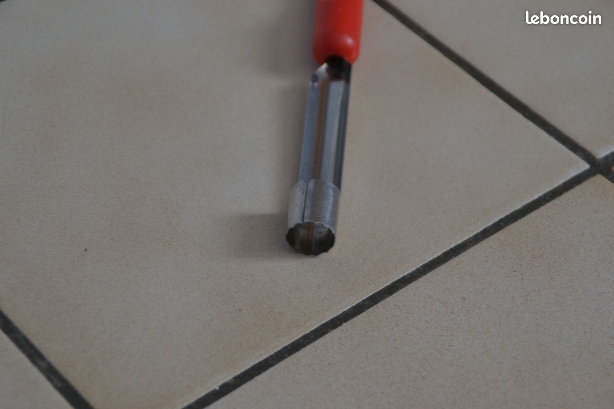 1 épépineur (image 4)