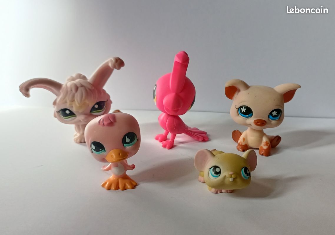 Petshop (image 2)