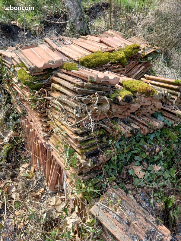 Lot de tuiles plates (image 1)