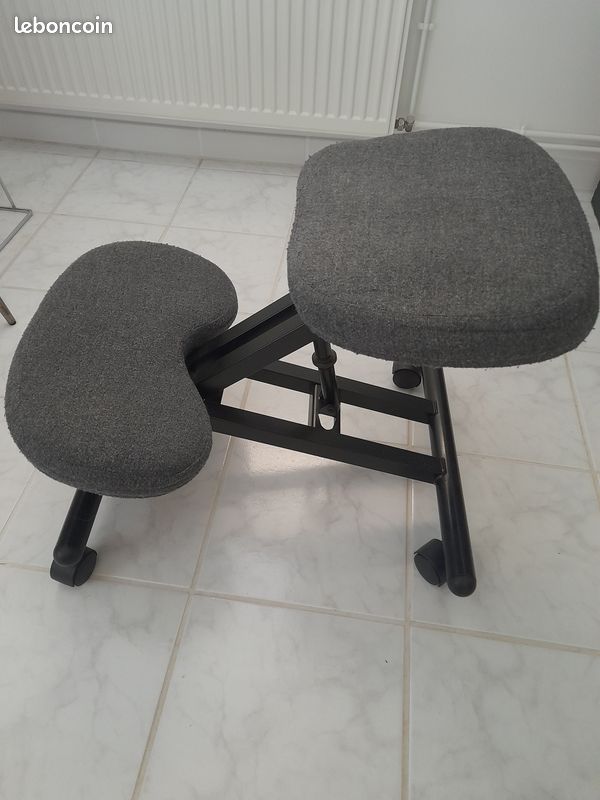 Siège ergonomique (image 2)