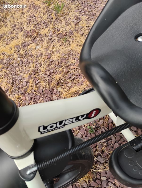 Vélo poussette (image 2)