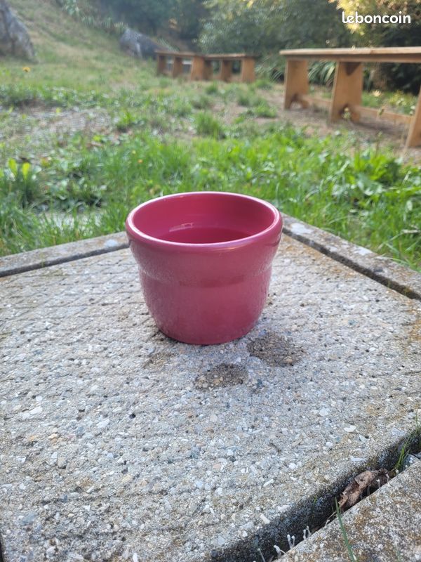 Différents Pots de fleur, caches pot (image 5)