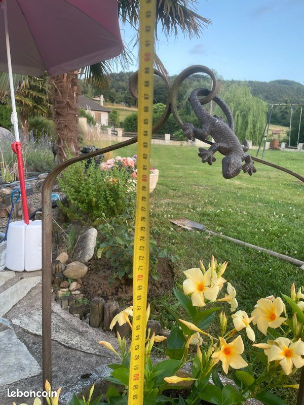 Puits plante (image 6)
