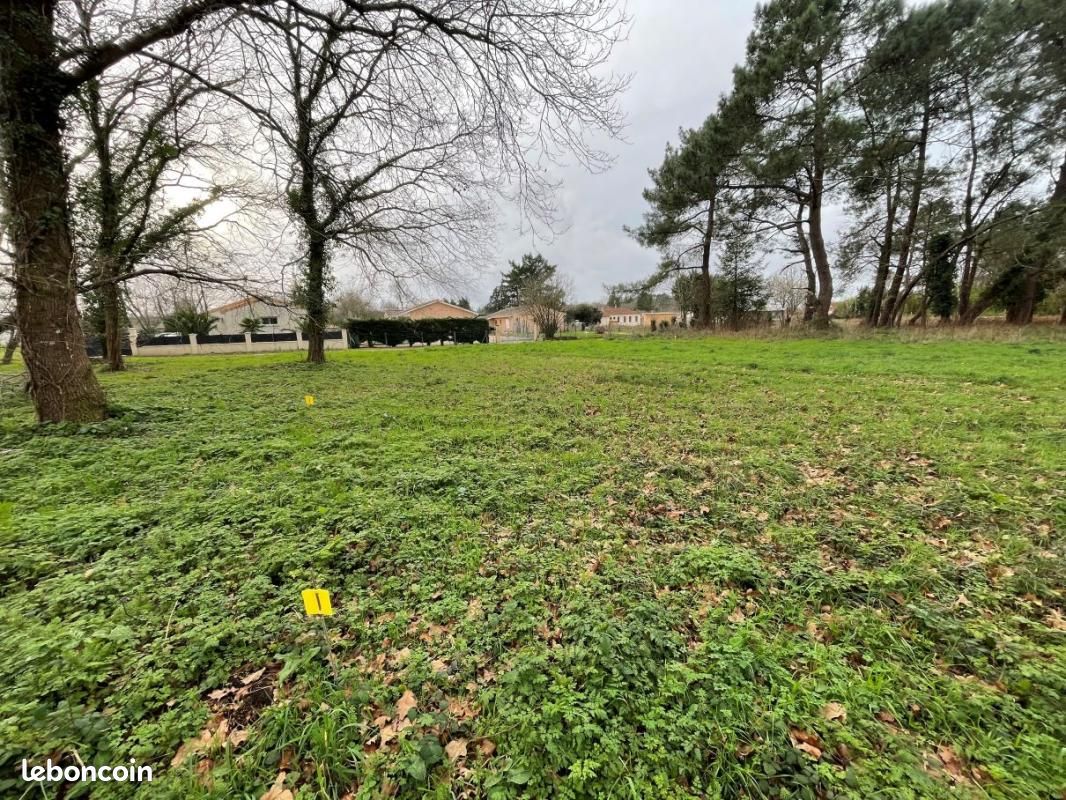 Terrain 1 600 m² Queyrac · 72 000 €
