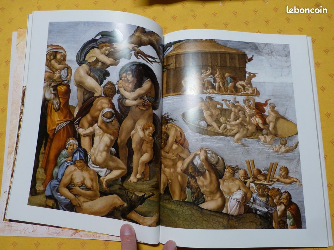 Livre michel ange (image 2)