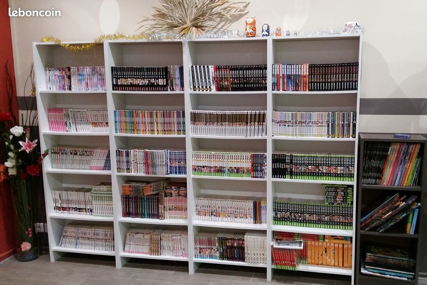Nombreuses séries manga comics et bd (image 1)