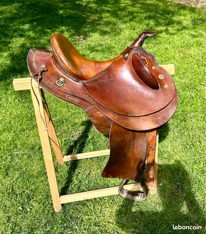 Selle australienne (image 1)