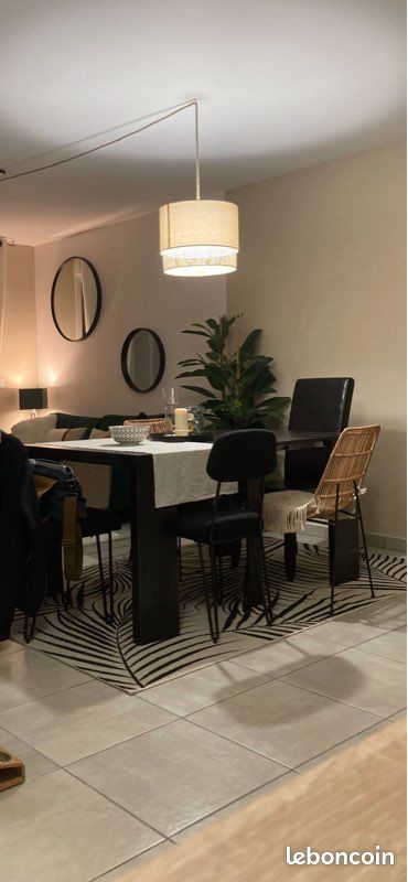 Tapis intérieur/exterieur (image 1)