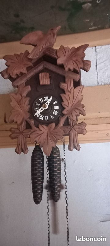 Coucou (image 1)