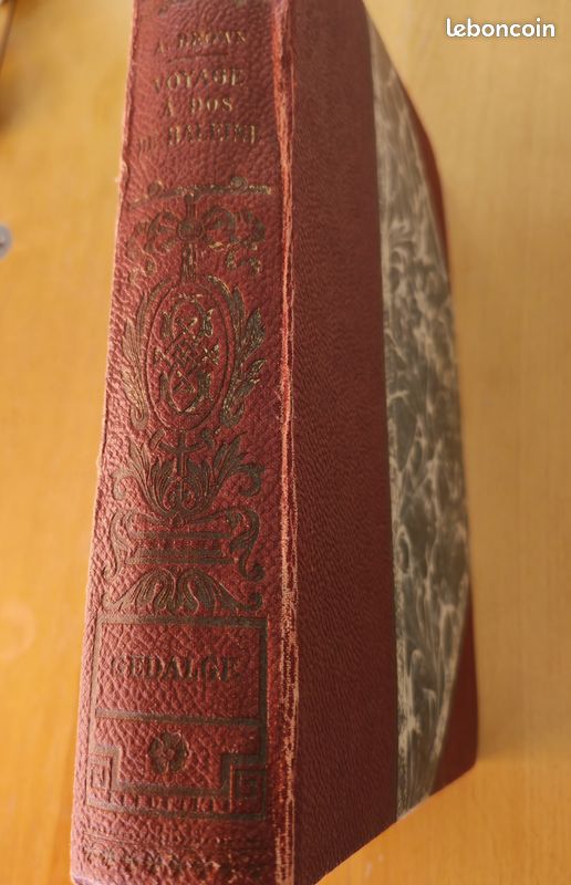 A. Brown "Voyage à dos de baleine" (image 2)