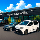 Logo du professionnel