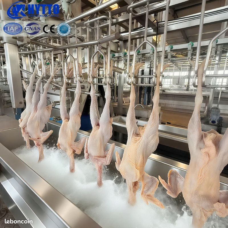 Poulet pour alimentation pour chien (image 1)