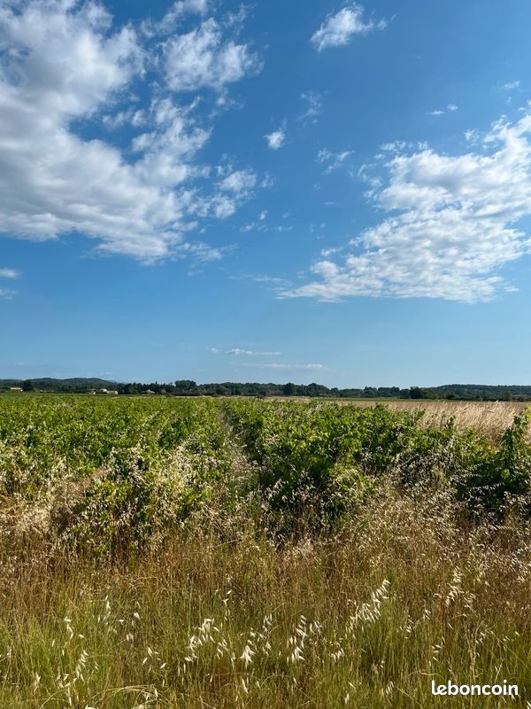 Vends vigne dans la plaine de Cardet · 10 000 €