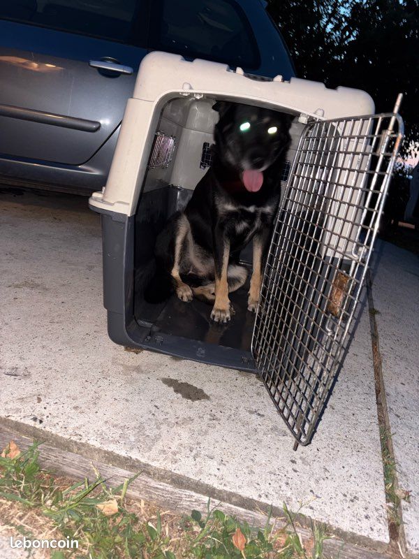 Cage gros chien (image 1)