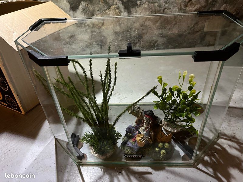 Accessoires animaux (image 1)