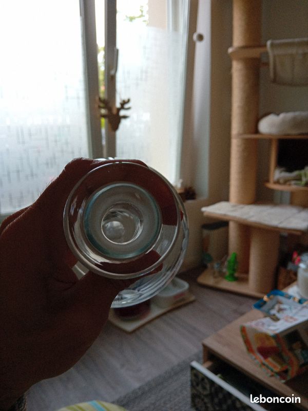 Carafe décanteur verre cristal feurs (image 5)
