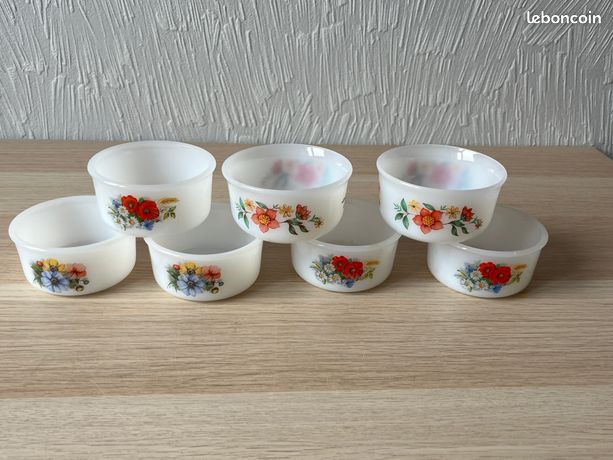 Lot De 6 Ramequins Arcopal Opaline – Décor Fleurs Vintage, Fabrication Française