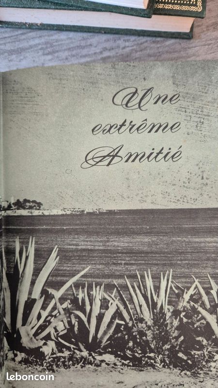 Lot de 4 livres (image 4)