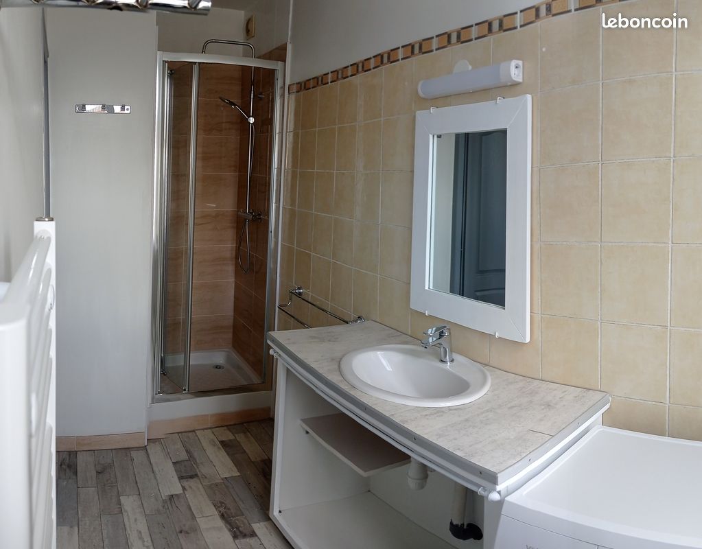 T2 duplex 40m2 meublé entièrement rénové - Poitiers 86000 (image principale 2)