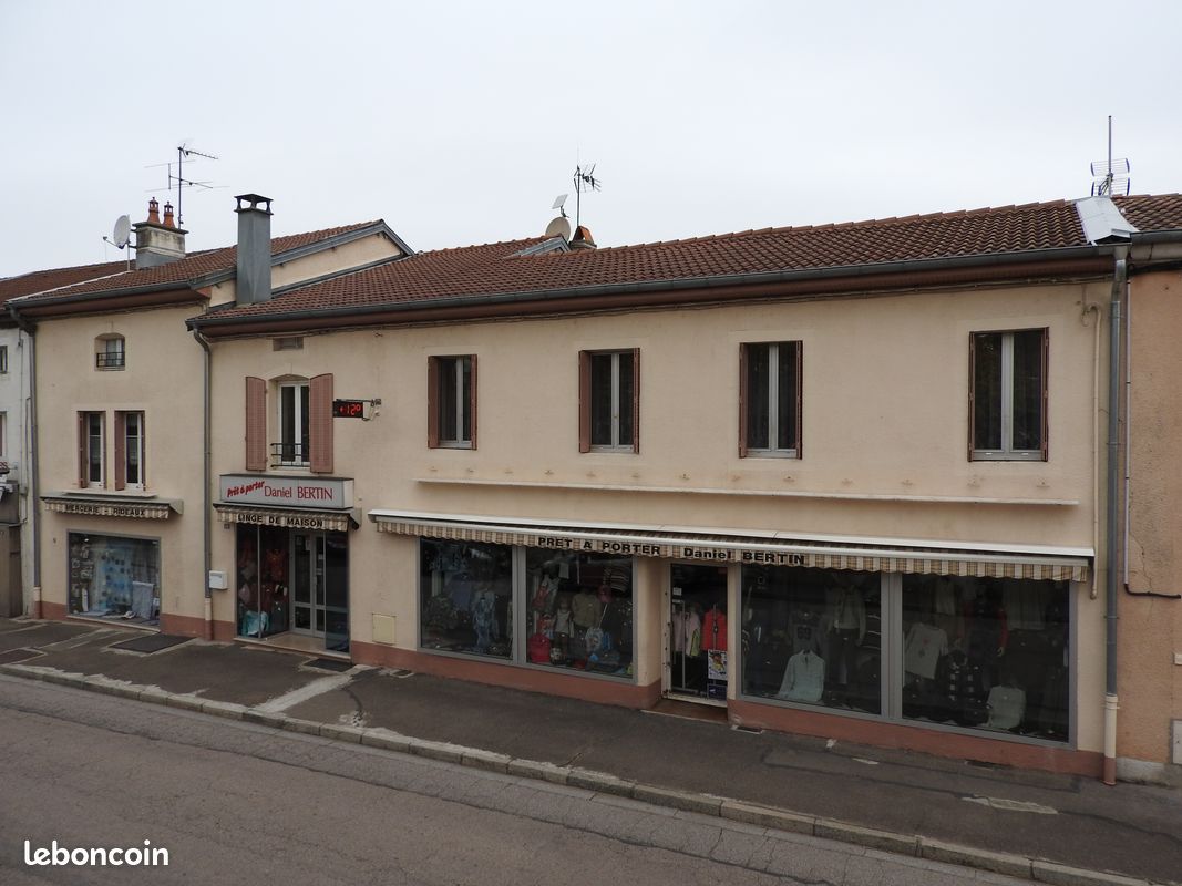 Immeuble 10 pièces 500 m² · à Monthureux-sur-Saône · 500 m² · 165 000 €