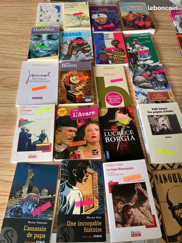 Livre l’ingénu de Voltaire (image 4)